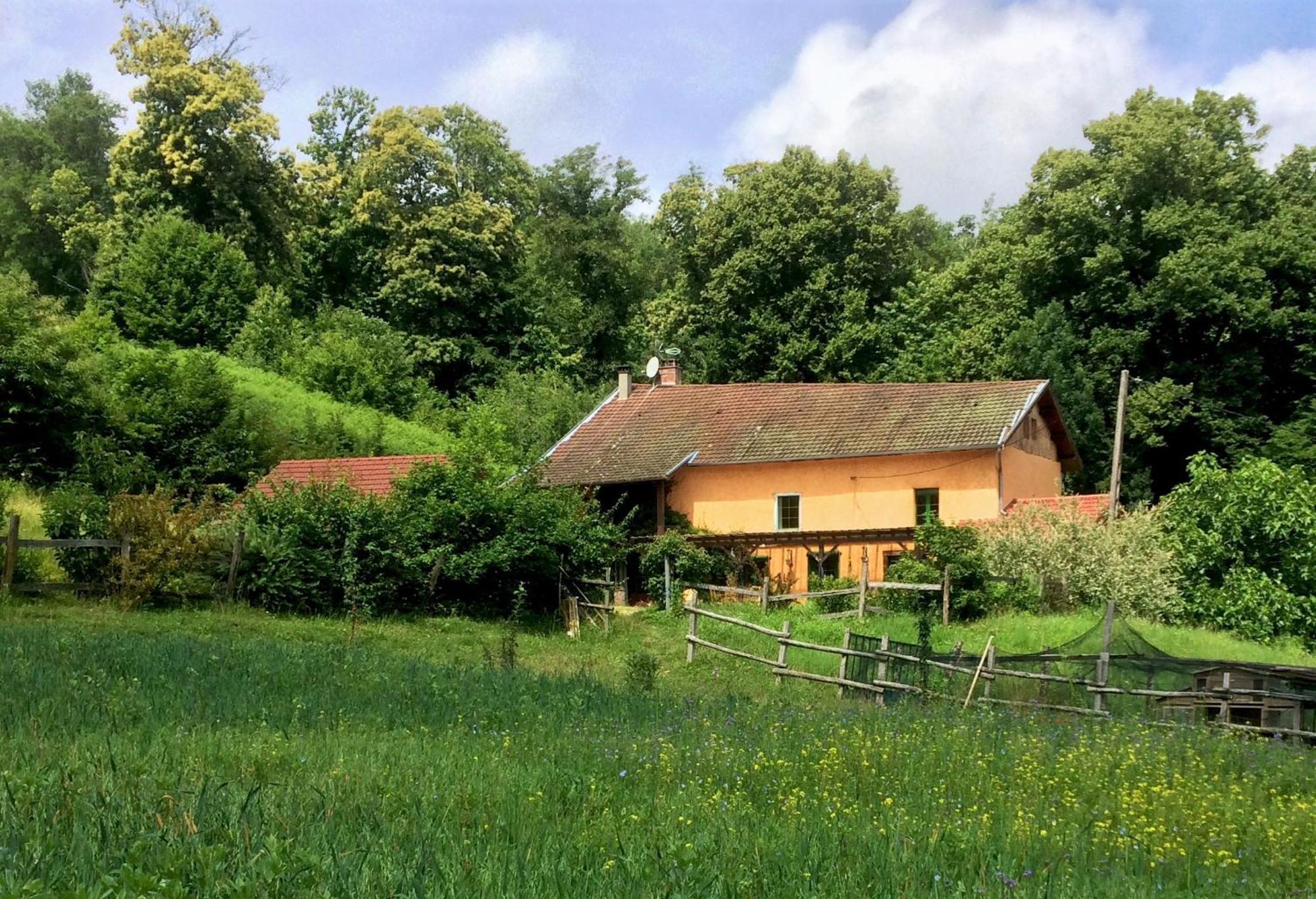 Le Mas De Planaise Saint-Jean-d'Avelanne Экстерьер фото